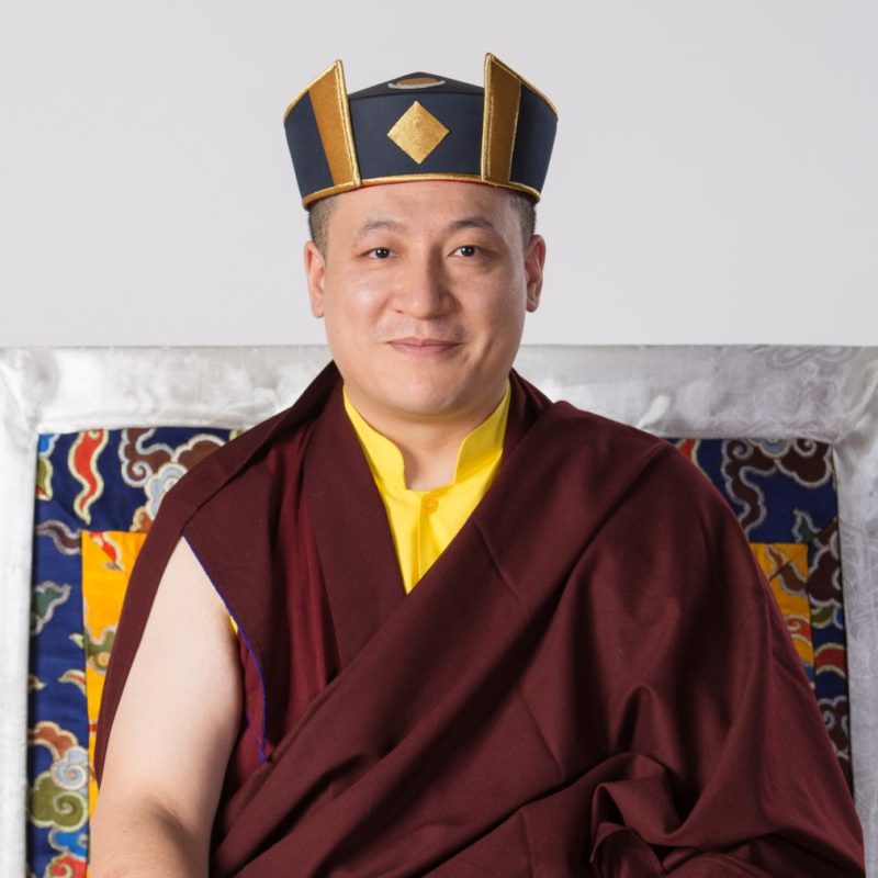 Diamond Way Buddhism Uk Th Karmapa Trinley Thaye Dorje